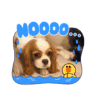 キャバリア❤︎メイ（個別スタンプ：21）