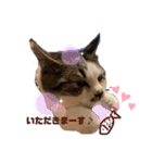 むぎくんの日常❸（個別スタンプ：5）