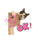 むぎくんの日常❸（個別スタンプ：10）