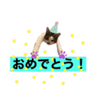 むぎくんの日常❸（個別スタンプ：12）