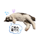 むぎくんの日常❸（個別スタンプ：18）