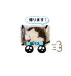 むぎくんの日常❸（個別スタンプ：21）