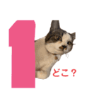 むぎくんの日常❸（個別スタンプ：22）