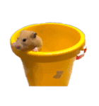 ミニポッポ＆ポッポ（個別スタンプ：16）
