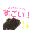 タヌキ猫とねずみ2（個別スタンプ：21）