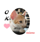 可愛い2匹❤️（個別スタンプ：4）