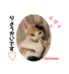 可愛い2匹❤️（個別スタンプ：7）