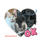 可愛い2匹❤️（個別スタンプ：11）