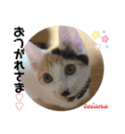 可愛い2匹❤️（個別スタンプ：12）
