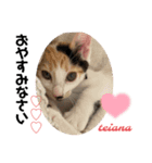 可愛い2匹❤️（個別スタンプ：15）