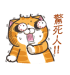 ランラン猫 26 (台湾版)（個別スタンプ：3）