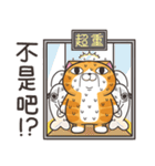ランラン猫 26 (台湾版)（個別スタンプ：24）