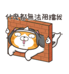 ランラン猫 26 (台湾版)（個別スタンプ：25）