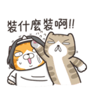 ランラン猫 26 (台湾版)（個別スタンプ：26）