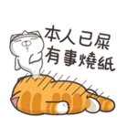 ランラン猫 26 (台湾版)（個別スタンプ：31）