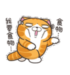ランラン猫 26 (台湾版)（個別スタンプ：33）