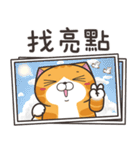 ランラン猫 26 (台湾版)（個別スタンプ：35）