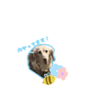 アルバのスタンプ♥（個別スタンプ：1）