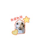 アルバのスタンプ♥（個別スタンプ：3）