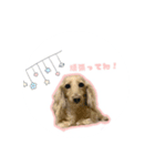 アルバのスタンプ♥（個別スタンプ：4）