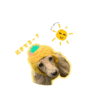 アルバのスタンプ♥（個別スタンプ：5）