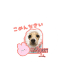 アルバのスタンプ♥（個別スタンプ：6）
