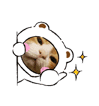 こてもん（個別スタンプ：4）