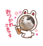 こてもん（個別スタンプ：11）