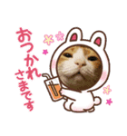 こてもん（個別スタンプ：12）