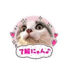 こてもん（個別スタンプ：14）