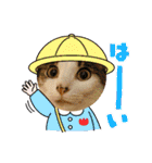 こてもん（個別スタンプ：17）