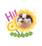 こてもん（個別スタンプ：33）
