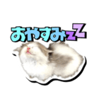 波作@bdstamp（個別スタンプ：1）