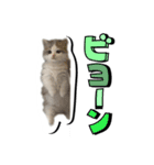 波作@bdstamp（個別スタンプ：3）