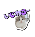 波作@bdstamp（個別スタンプ：8）