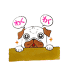 パグライフ2.1（個別スタンプ：16）