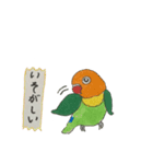 ボタンインコの日常スタンプ（個別スタンプ：33）