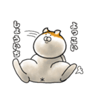 今は古き言葉とびゃっくん（個別スタンプ：9）