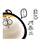 今は古き言葉とびゃっくん（個別スタンプ：21）
