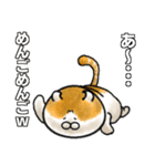 今は古き言葉とびゃっくん（個別スタンプ：23）