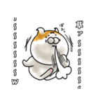 今は古き言葉とびゃっくん（個別スタンプ：24）