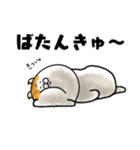 今は古き言葉とびゃっくん（個別スタンプ：30）