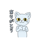 猫の水色ちゃん（個別スタンプ：6）