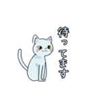 猫の水色ちゃん（個別スタンプ：7）