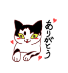 わが家の白黒ねこ（個別スタンプ：1）