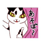 わが家の白黒ねこ（個別スタンプ：12）