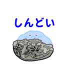 かわいぃぃぃちゃん（個別スタンプ：23）
