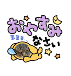ねこのきいちゃん・いろんなスタンプ（個別スタンプ：2）