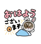 ねこのきいちゃん・いろんなスタンプ（個別スタンプ：6）