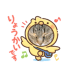 ねこのきいちゃん・いろんなスタンプ（個別スタンプ：8）